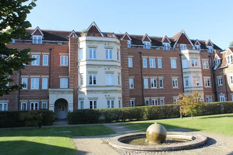 Main Image